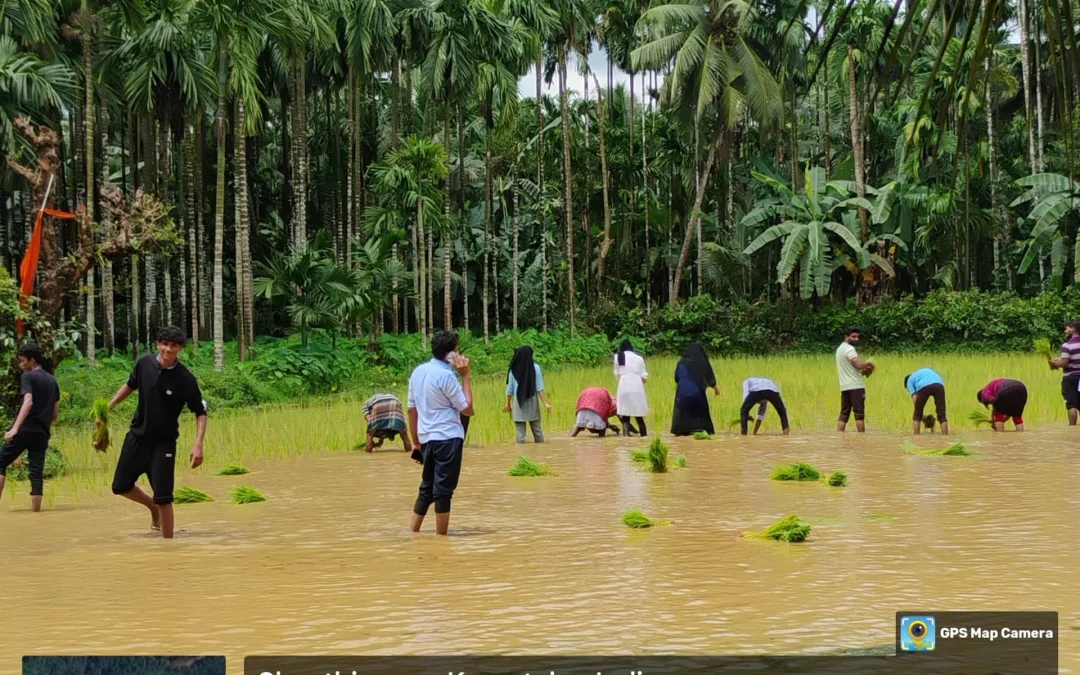 Visit to Paddy Field