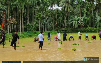 Visit to Paddy Field